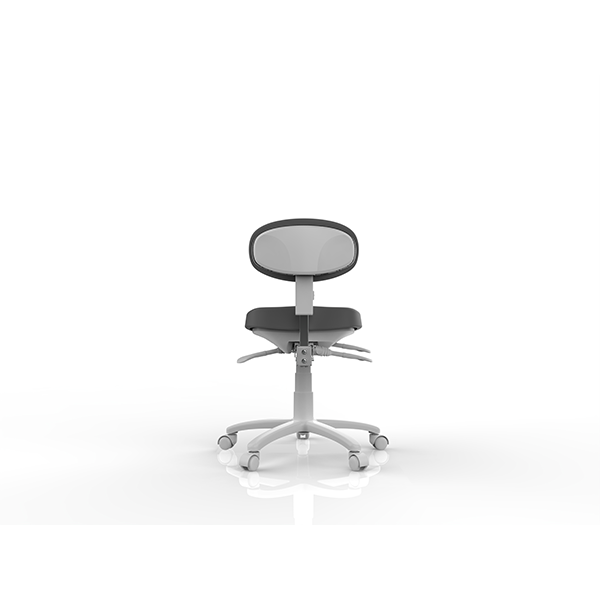 Silverfox Skammel Sun