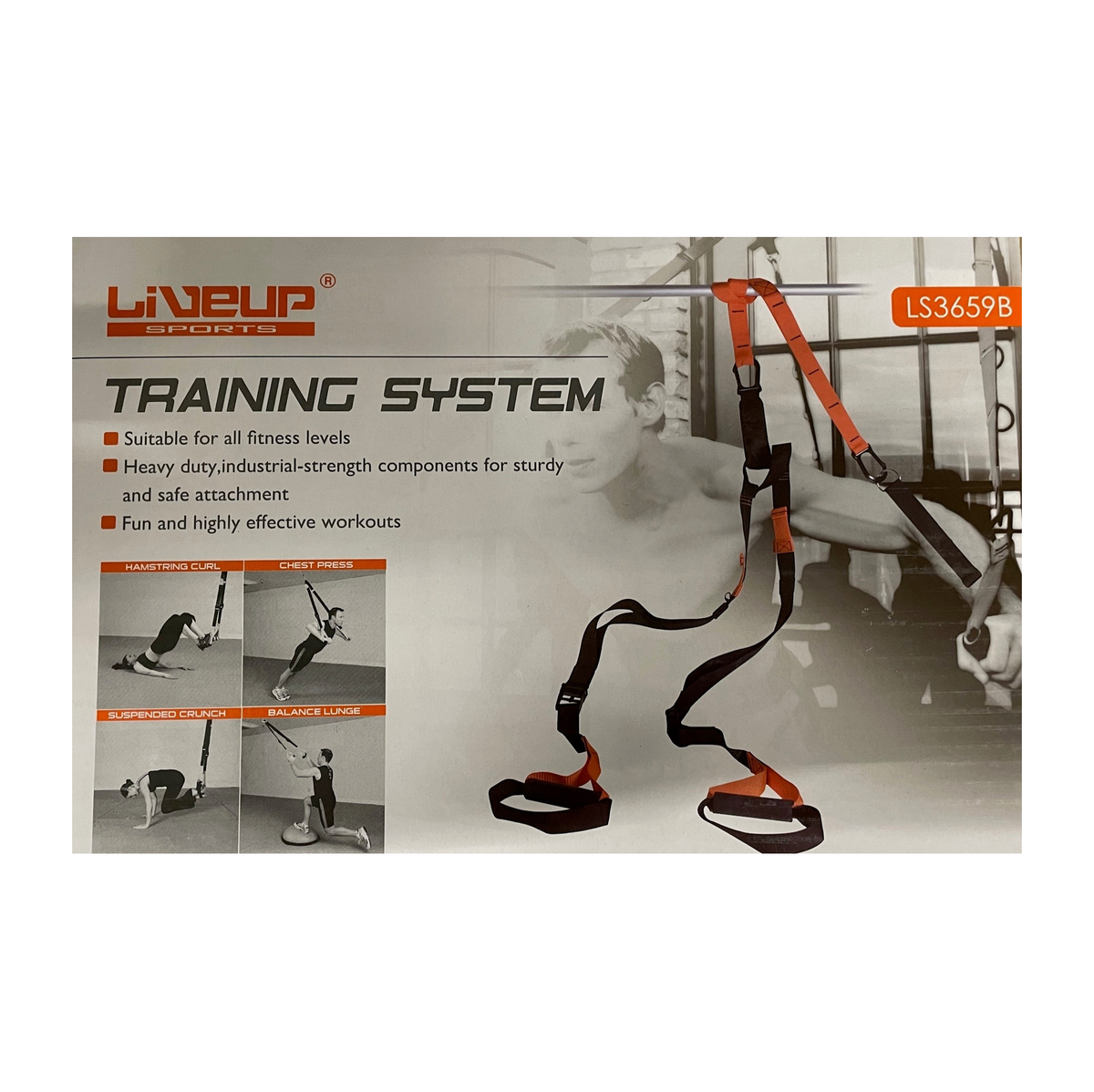 Trainer System Suspension training system from Lineup