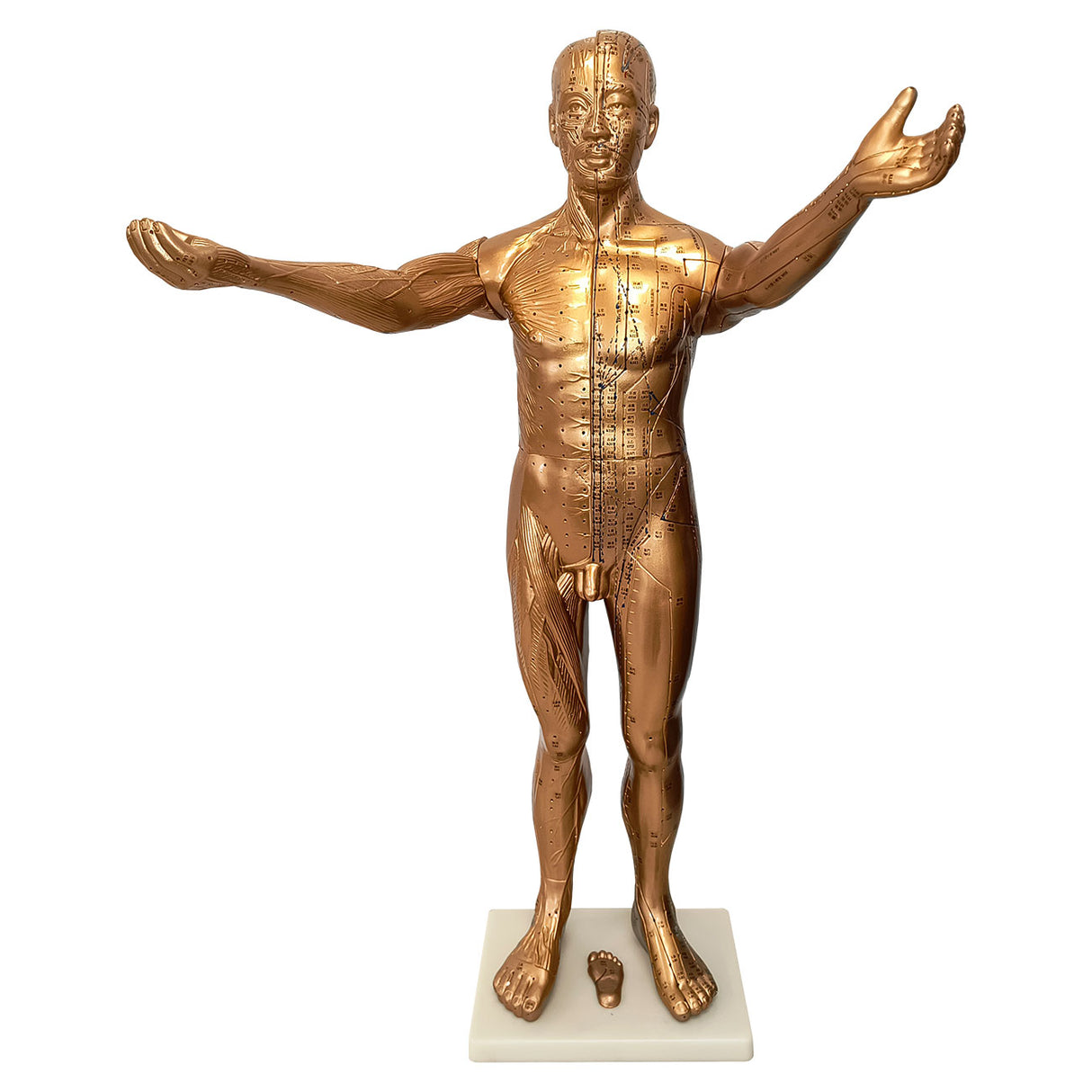 Mand 84 cm (bronzefarvet)