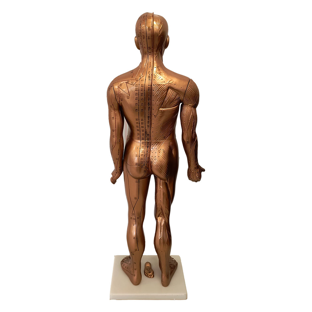 Mand 84 cm (bronzefarvet)